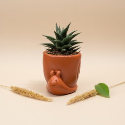 Handmade Clay Pot + Plant