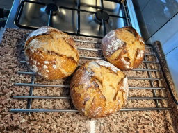 Hausbrot (650g)