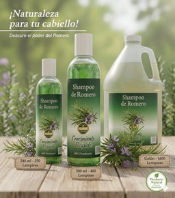 Shampoo de romero