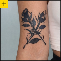 Diseños Medianos