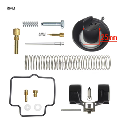 Nuevo Kit de Reparación de Carburador con Plástico y Goma para Yamaha FZ16 SZ16 BYSON FZS, Accesorios para Motocicleta/Reparación