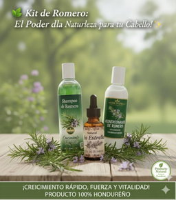 Kit de romero basico