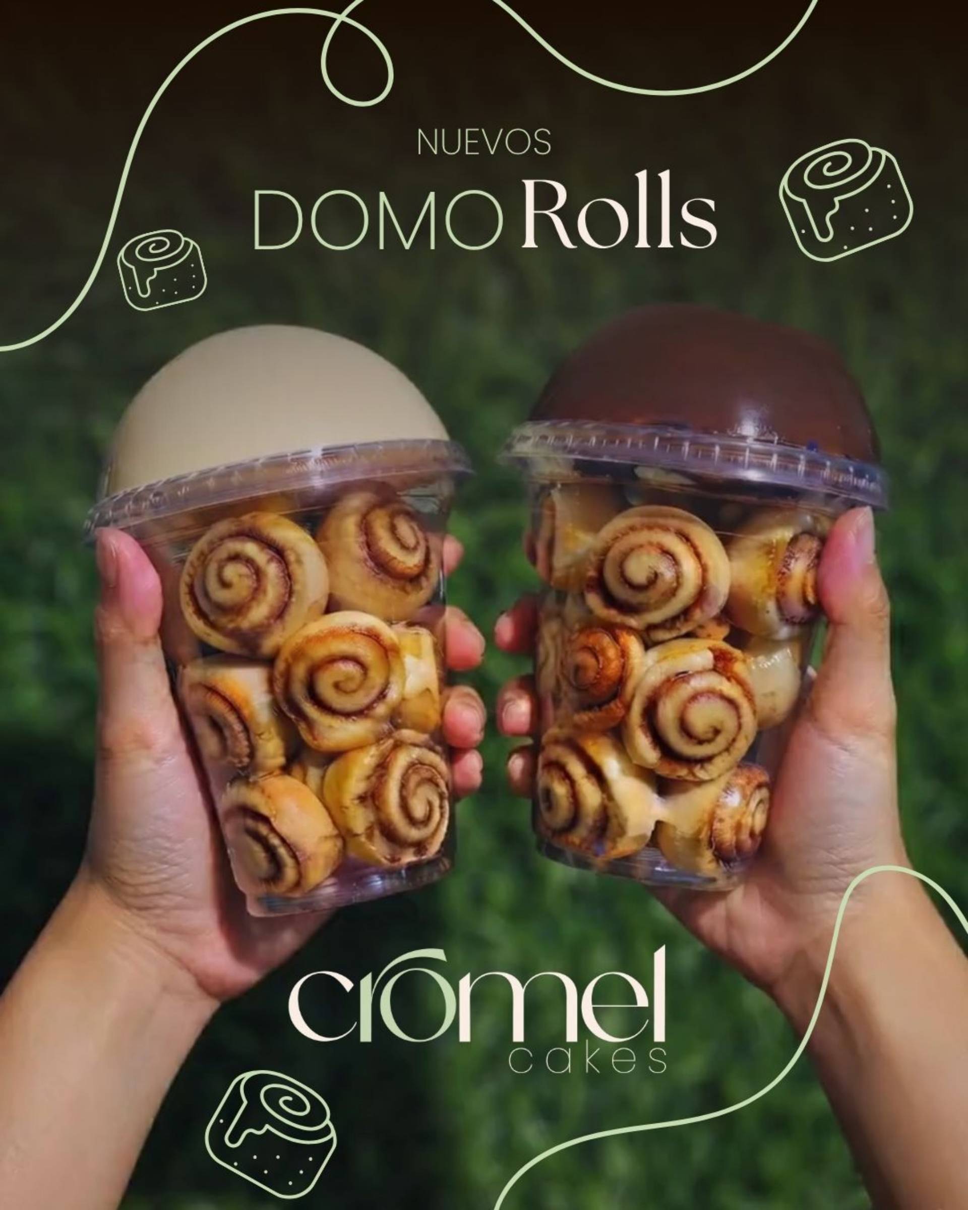 Domo Rolls