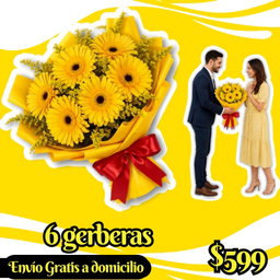 6 gerberas