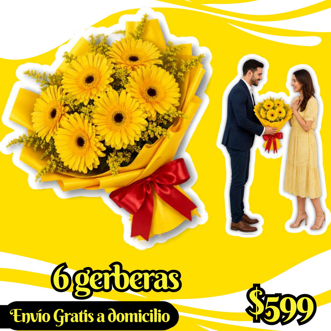 6 gerberas