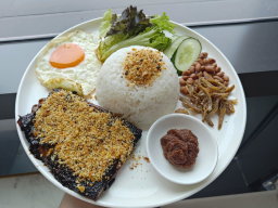 Grilled Unagi Katsu Nasi Lemak