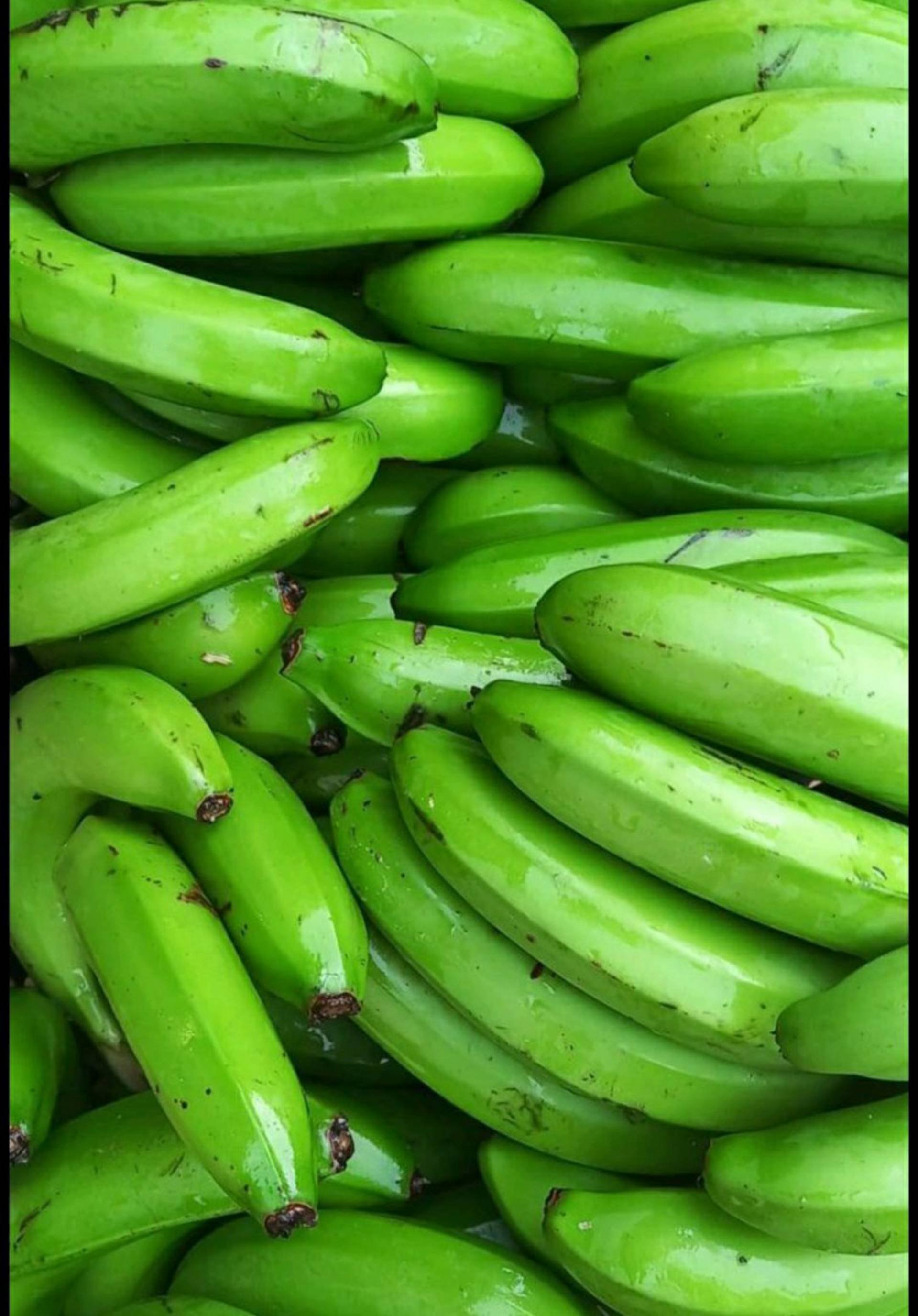 Green banana (Igitoki)_0