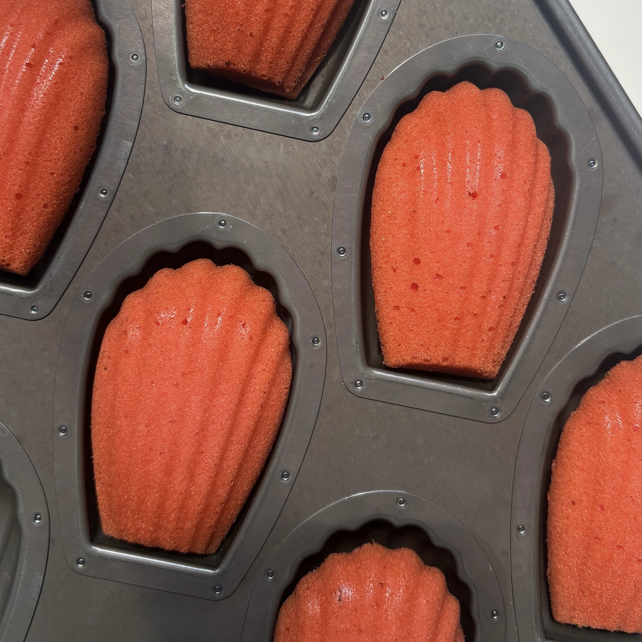 Rose White Chocolate Madeleines_1