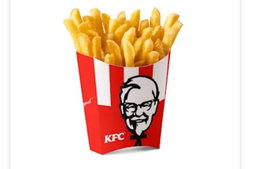 Chips large 