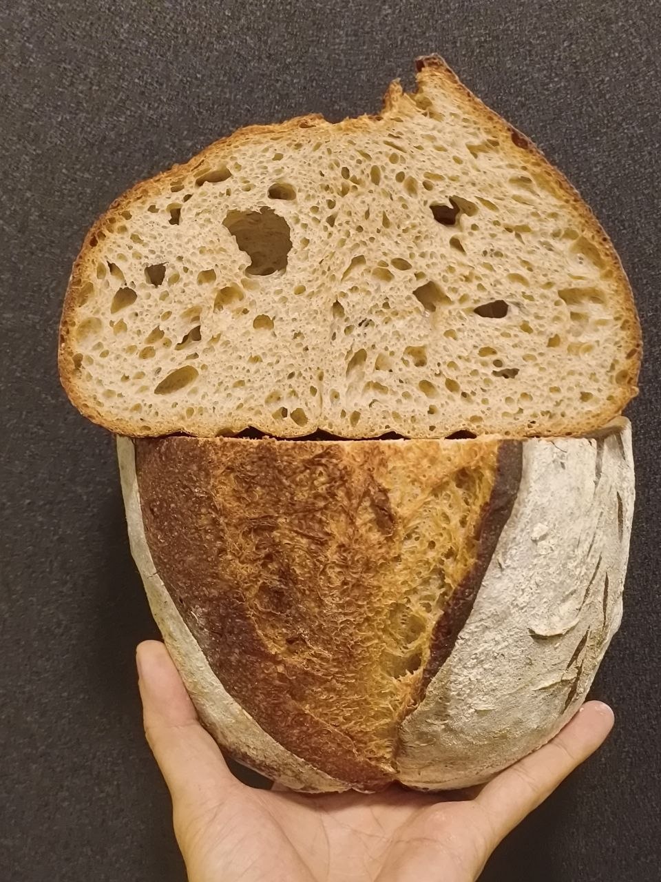 Honey oat