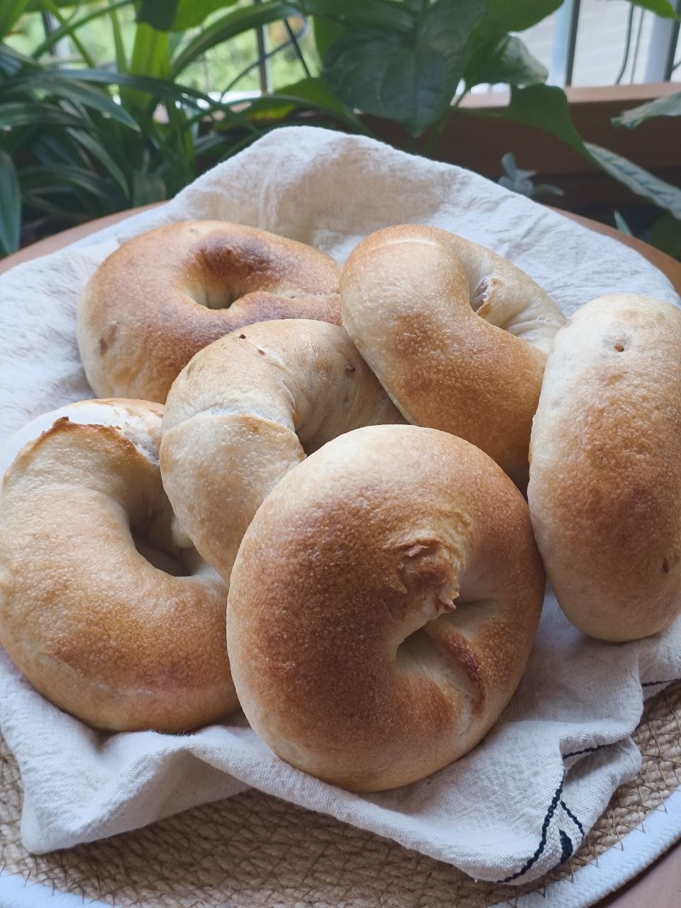 Classic bagels (pack of 3)