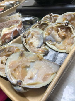 日本北寄貝🐚（隻）（約5-6兩)