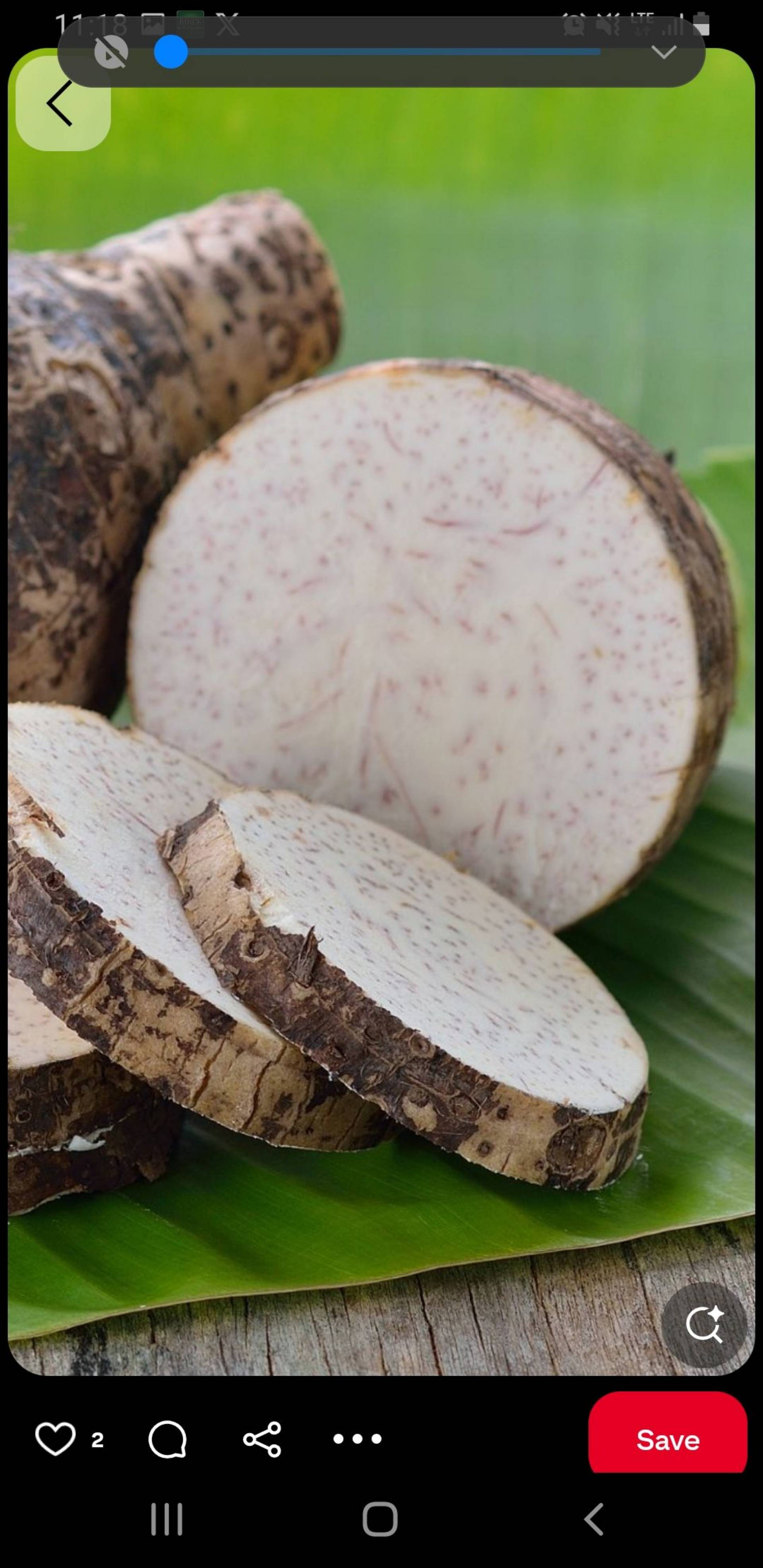 Taro(bwayisi)_0