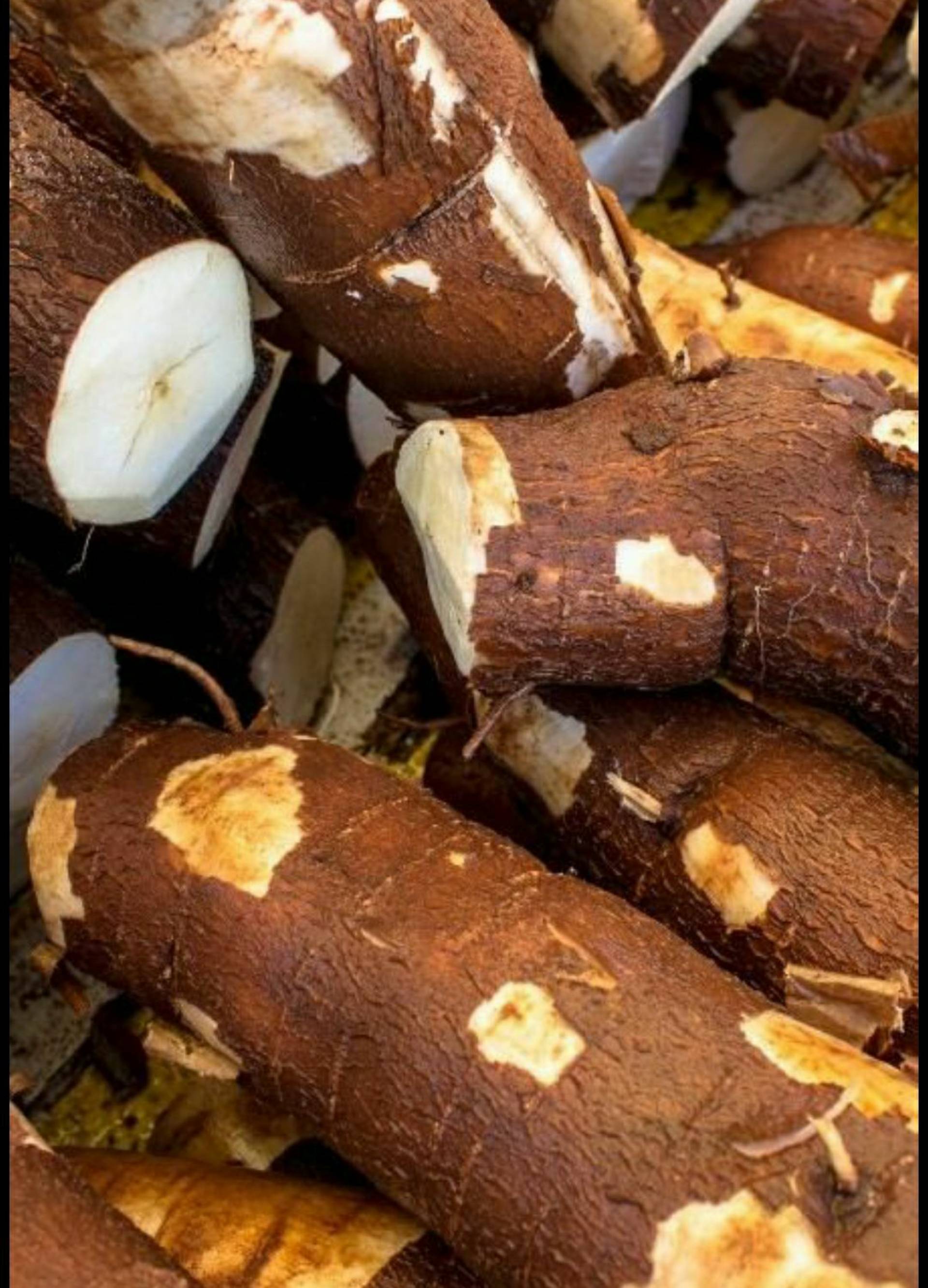 Cassava (imyumbati)_0