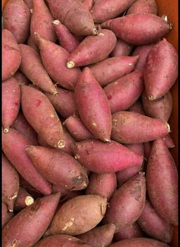 Sweet patatoes (ibijumba)