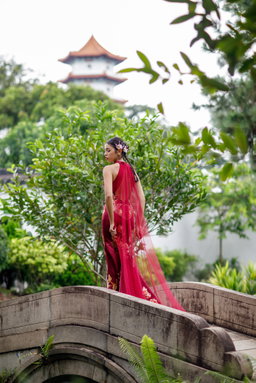 Burgundy Phoenix Cheongsam