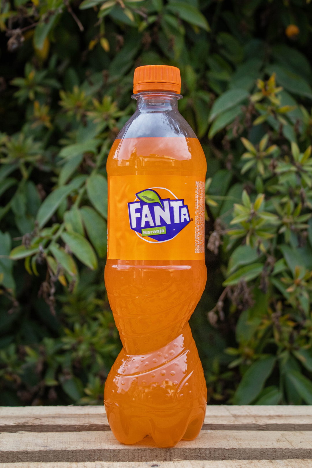 Fanta