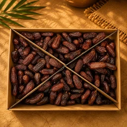 HaBeeBee Wholesale Medjoul Jordan | 5 Kg Collection