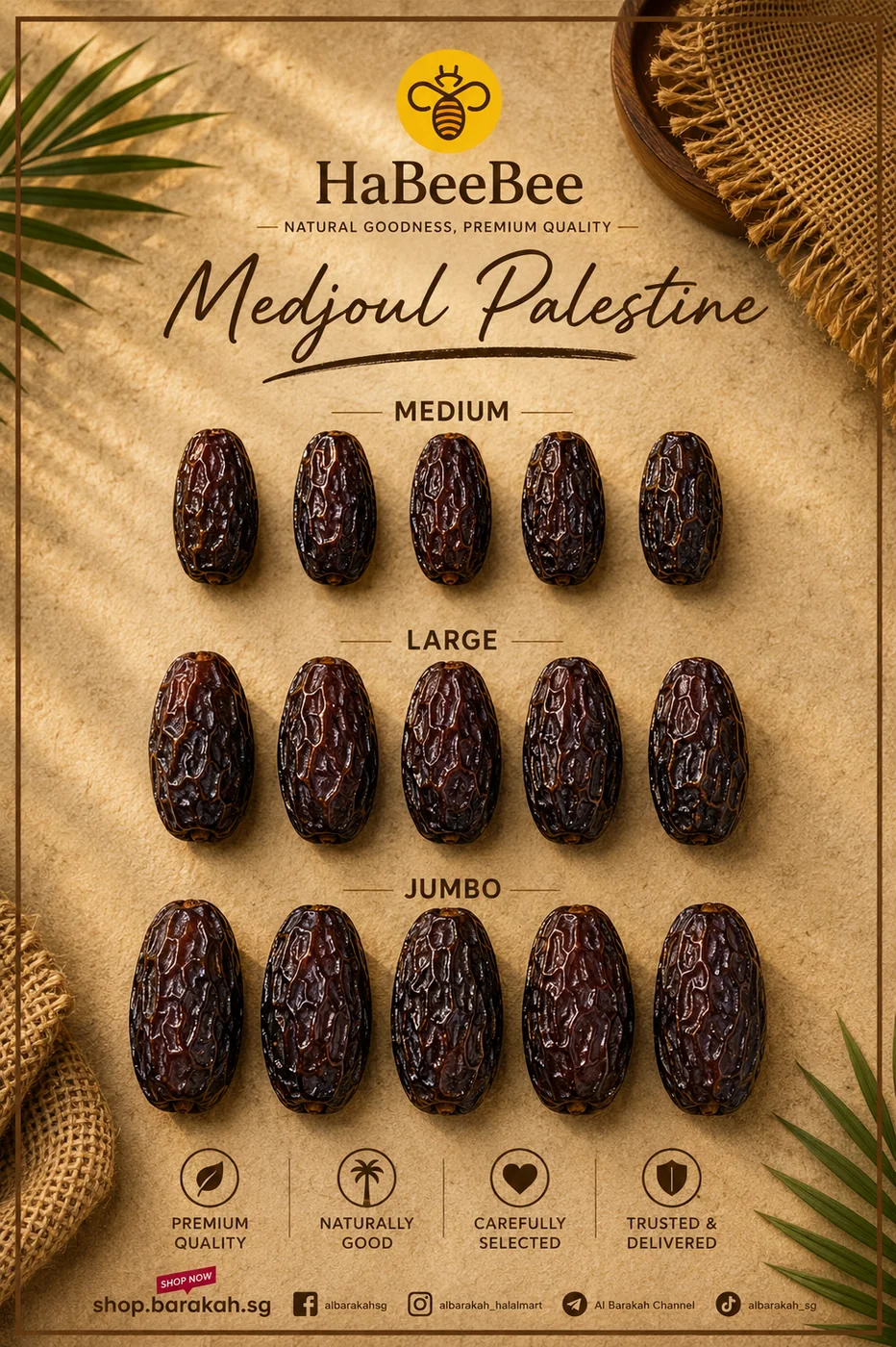 HaBeeBee Wholesale Medjoul Falastine | 5 Kg Collection_1