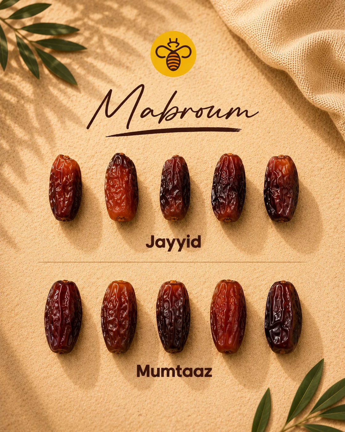 HaBeeBee Wholesale Mabroum | 5 Kg Collection_1