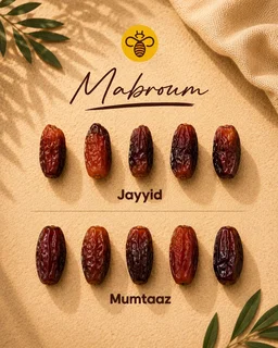 HaBeeBee Wholesale Mabroum | 5 Kg Collection