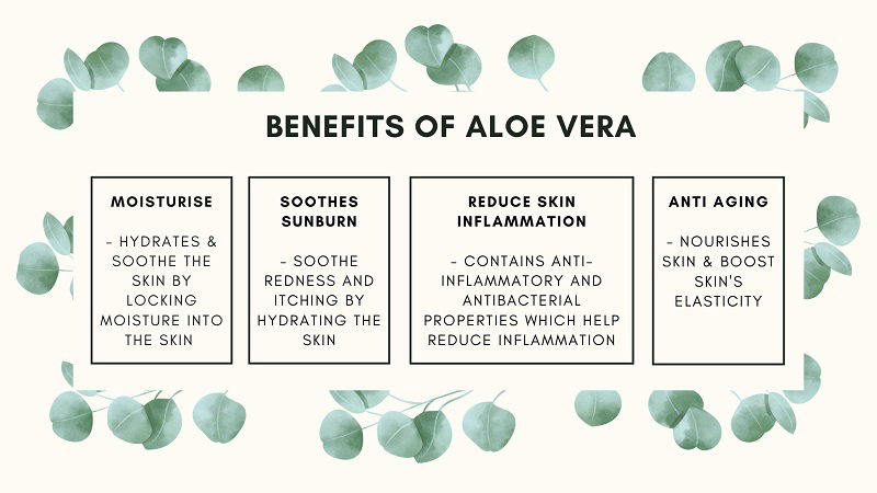 Korea 100% Aloe Vera Soothing Gel - 300ml_2