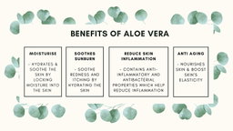 Korea 100% Aloe Vera Soothing Gel - 300ml