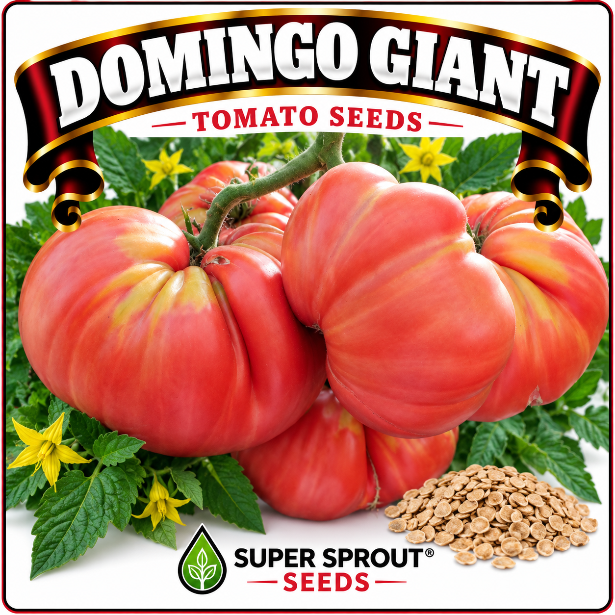 DOMINGO GIANT TOMATO x 10 seeds_1