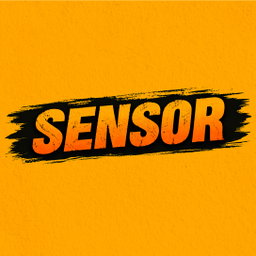 Sensor