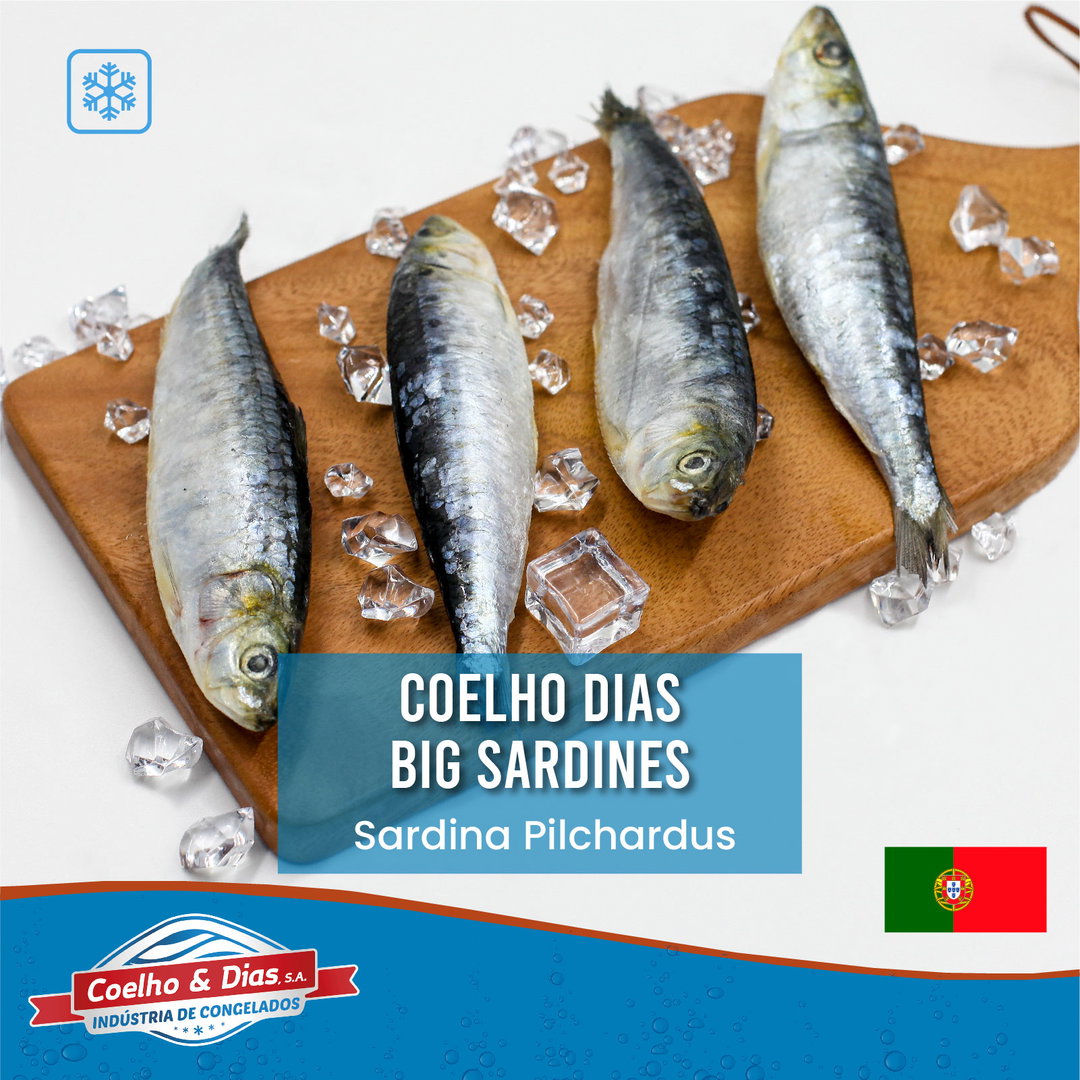 COELHO & DIAS Big Sardines 10/12 900G