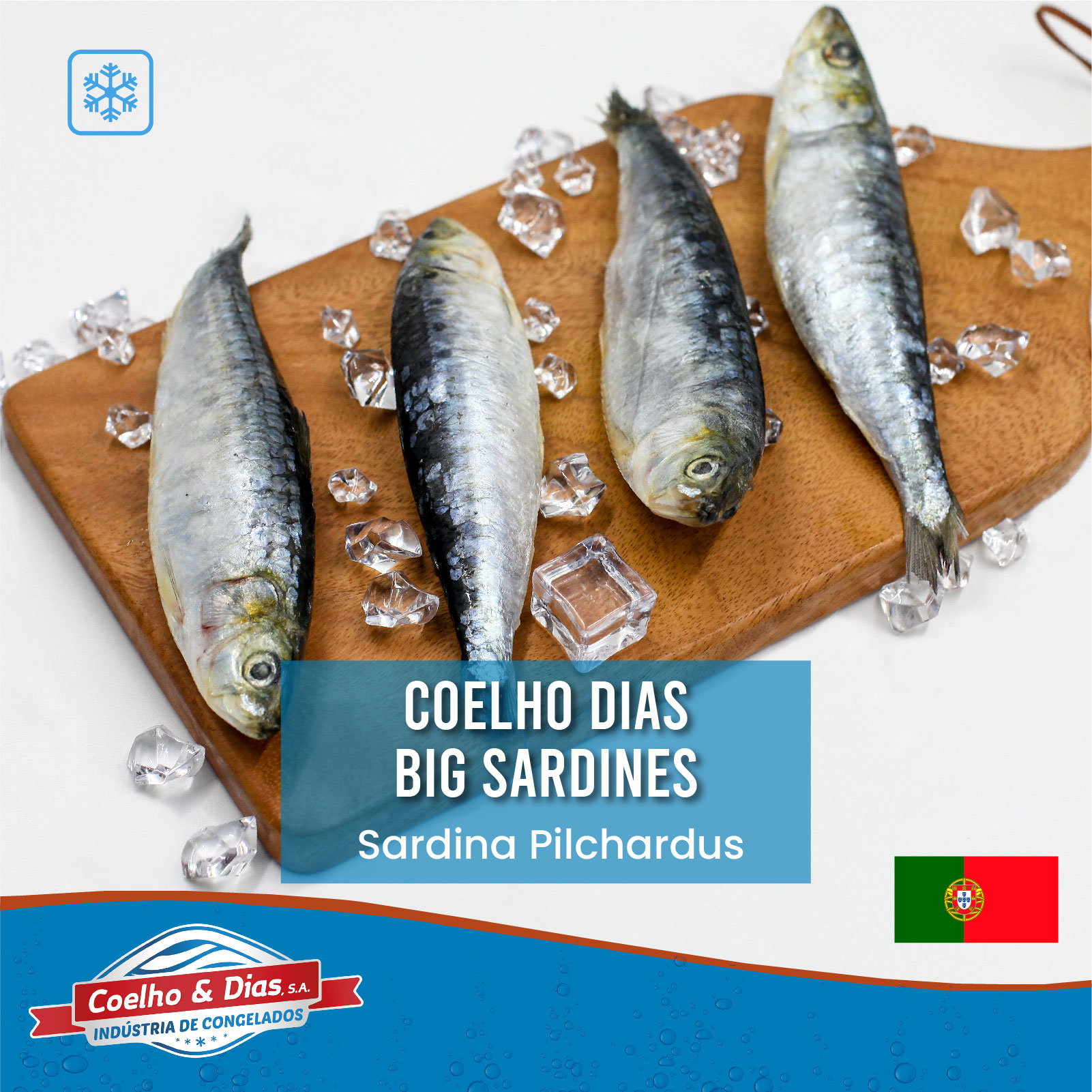 COELHO & DIAS Big Sardines 10/12 900G_0