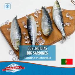 COELHO & DIAS Big Sardines 10/12 900G