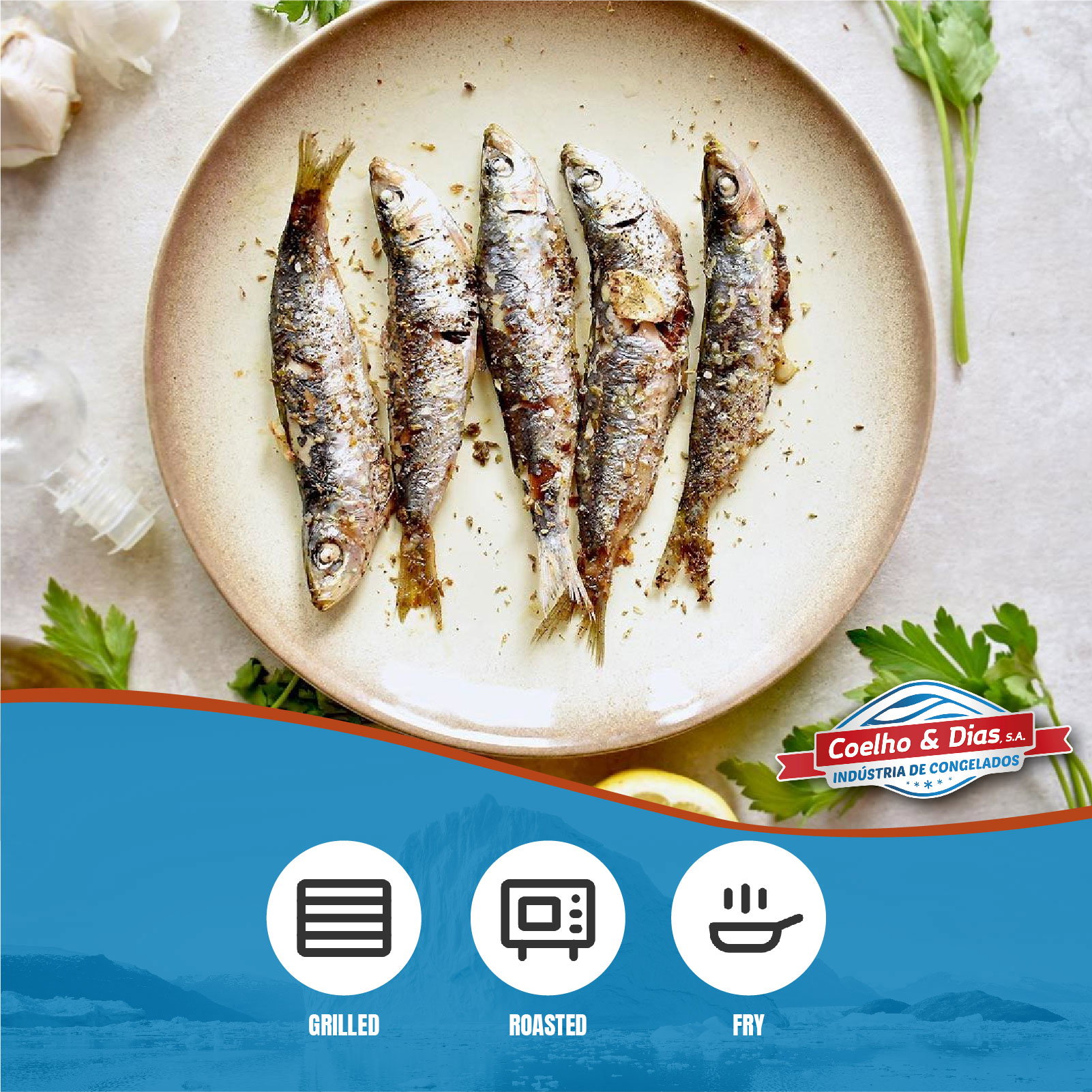COELHO & DIAS Big Sardines 10/12 900G_3