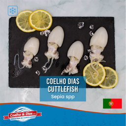 COELHO & DIAS Cuttlefish 20/40 (Pescapeixe) 800G