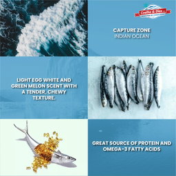 COELHO & DIAS Cuttlefish 20/40 (Pescapeixe) 800G
