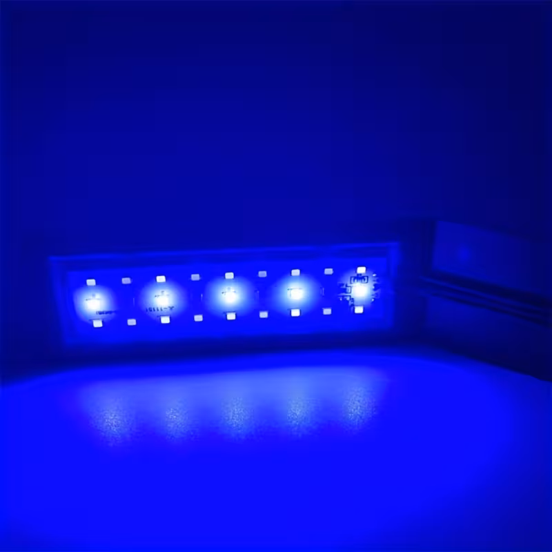 Deebow T4 Blue submersed electronic LED lamp - GMO Light_1
