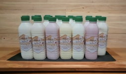 Classic Bottle Yoghurt (50cl)