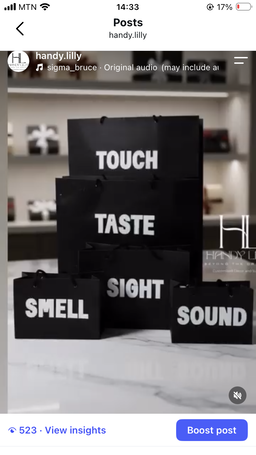 5 sizes Senses Gift Bag Set/Sac cadeau 5 sens
