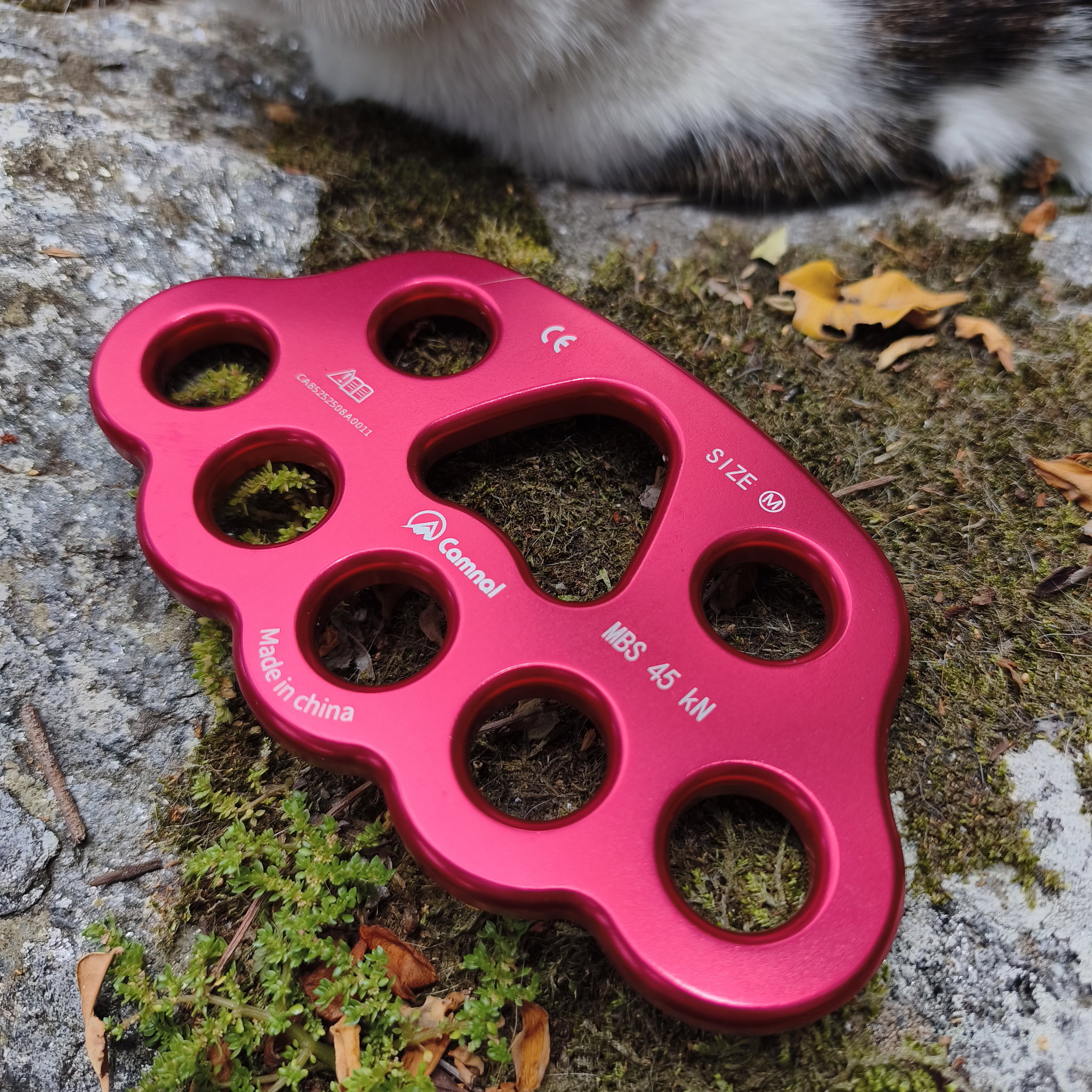 Placa Anclaje 8 huecos_2