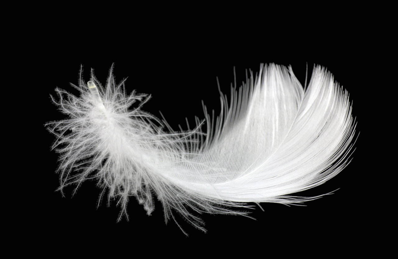 Sleeping -5°C 1.3kg plumas Alta montaña_8