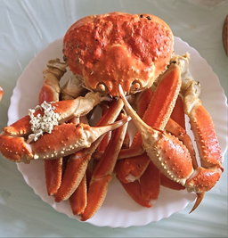 日本松葉蟹🦀(隻)