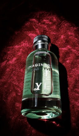 IMAGINARI JACQUES YVES 