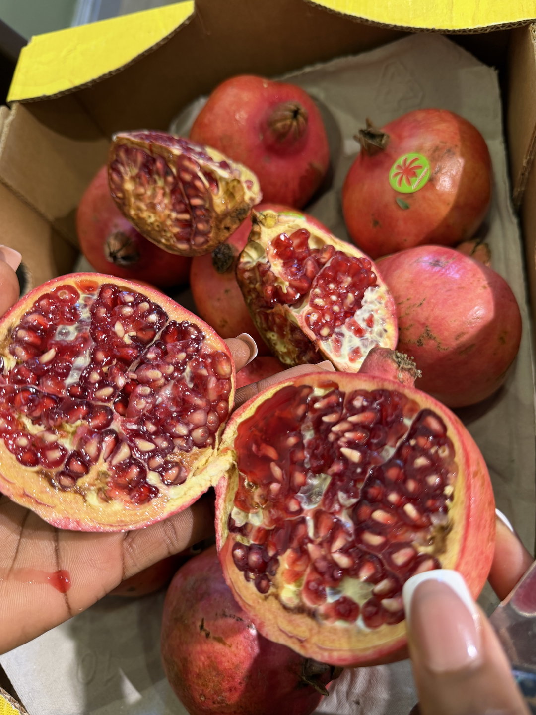 Spanish Pomegranates x 1