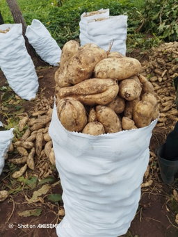 Produit agricole