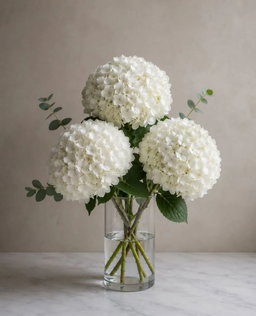 Made to Order · Events & Special Orders
