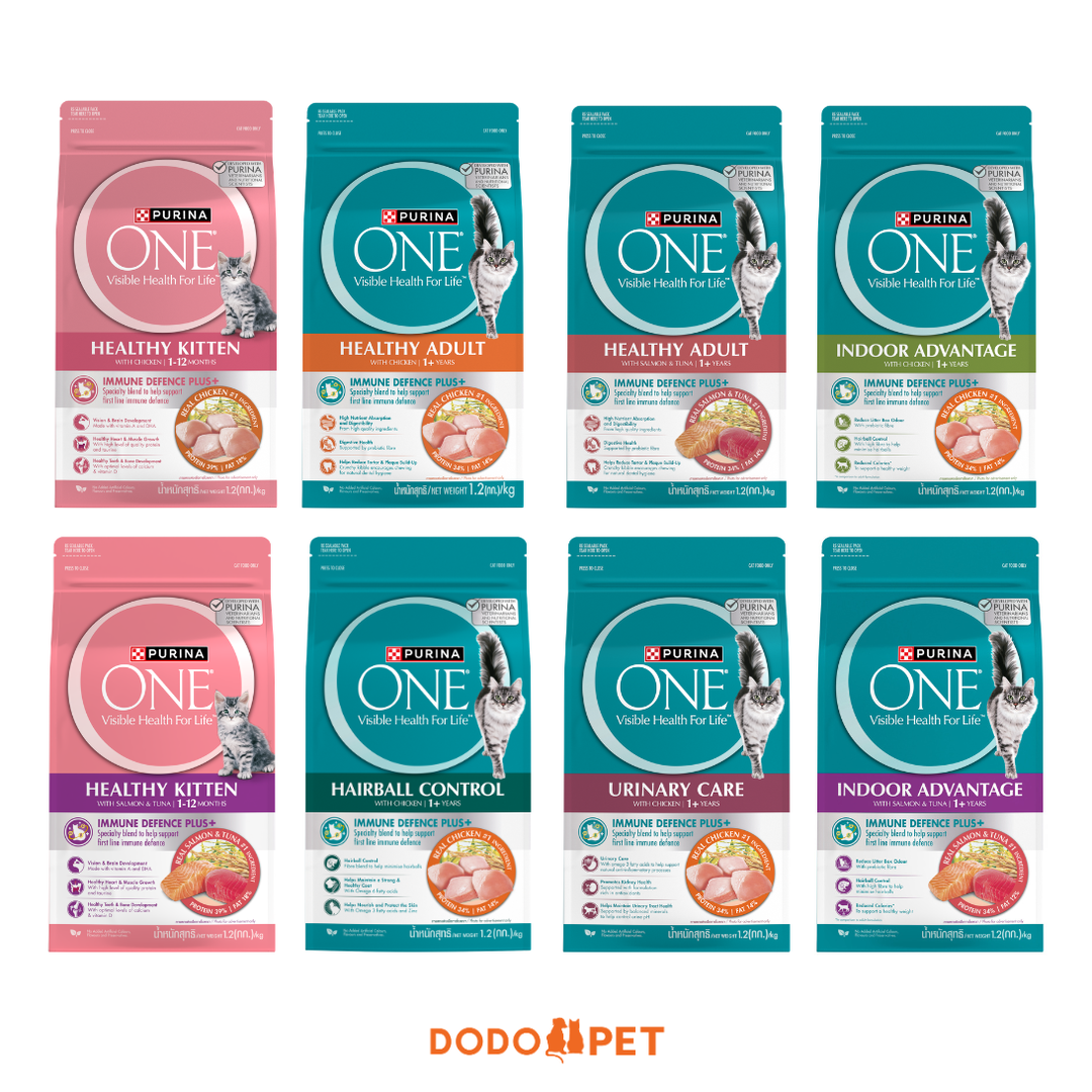 Purina ONE Dry Cat Food - 1.2kg