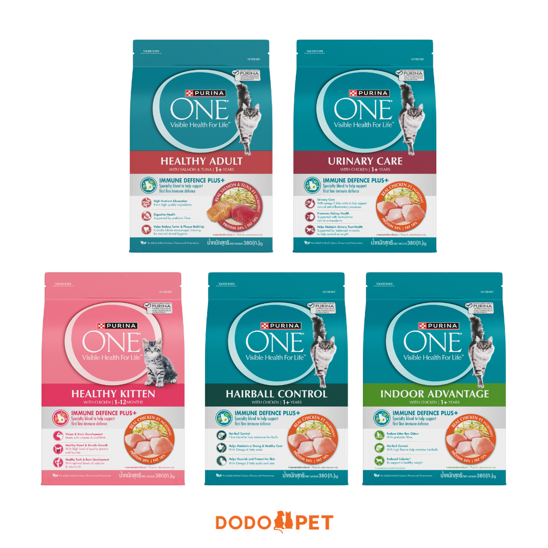 Purina ONE Dry Cat Food - 380g