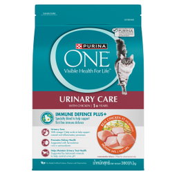 Purina ONE Dry Cat Food - 380g