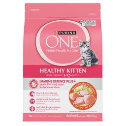 Purina ONE Dry Cat Food - 380g