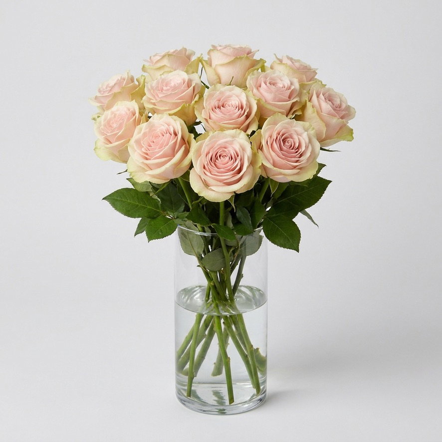 The Signature Rose Dozen (Colors Vary)_1